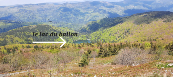 VUE SUR LE LAC DU BALLON DEPUIS LA MONTEE AU GRAND BALLON