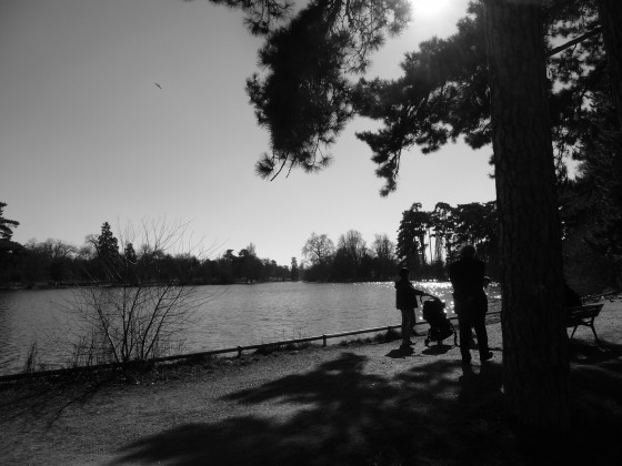vue sur le lac du bois de Boulogne