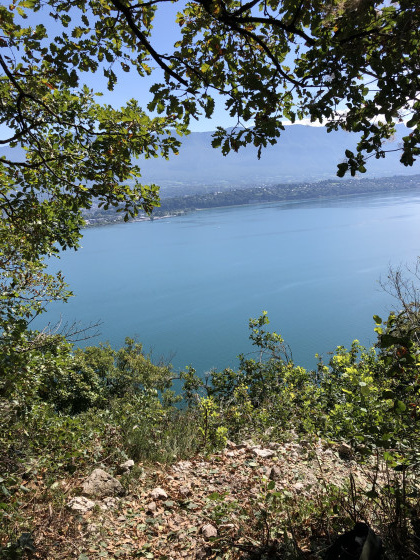 Vue sur le lac du Bourget