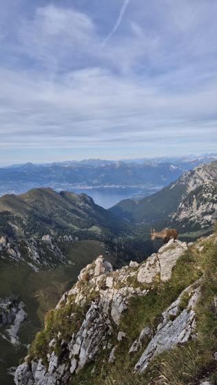 Vue sur le Lac L&eacute;man