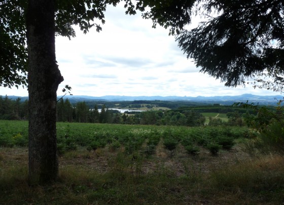 vue sur le lac