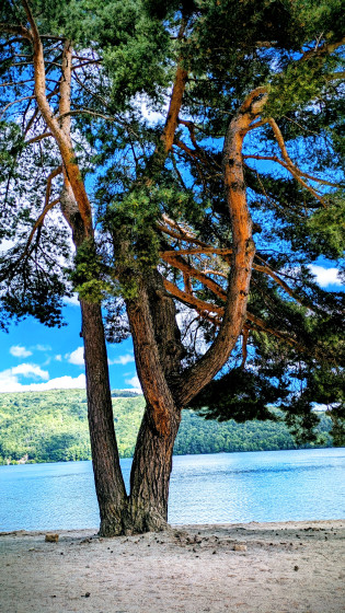 Vue sur le lac