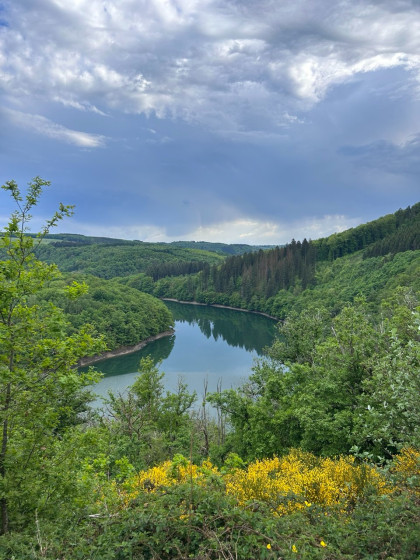 Vue sur le Lac