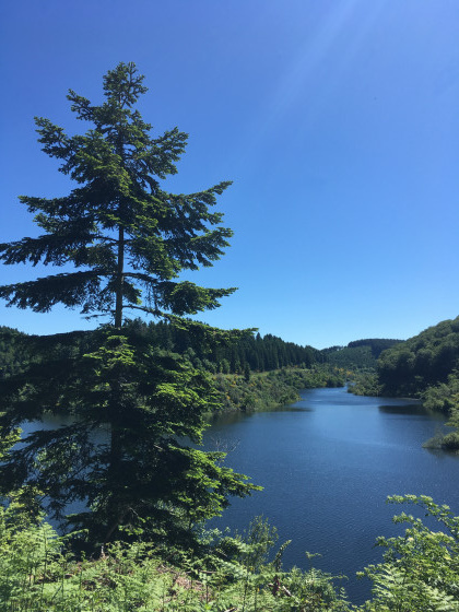 Vue sur le lac