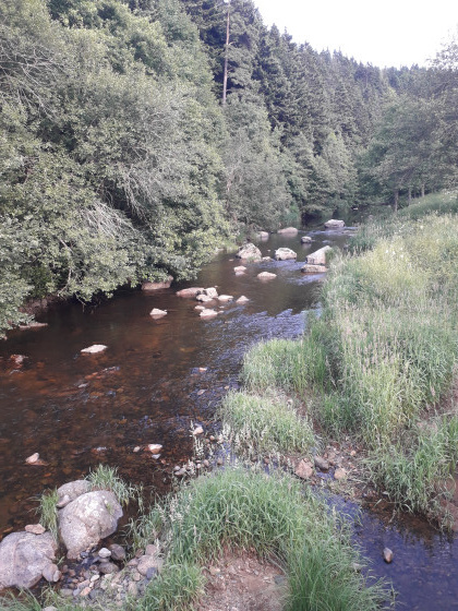 Vue sur le Lignon