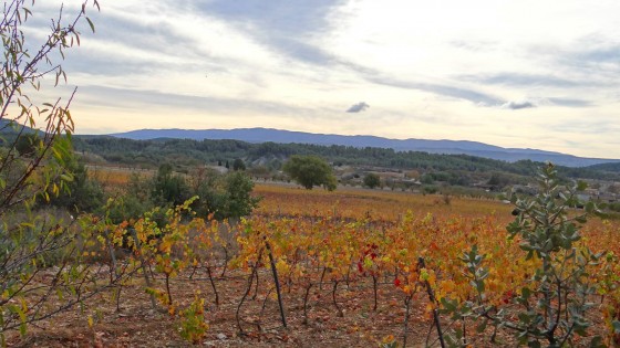 vue sur le luberon