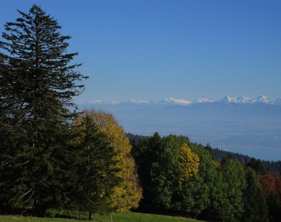 Vue sur le massif des Alpes