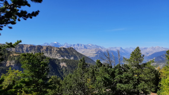Vue sur le massif des Écrins depuis le fort