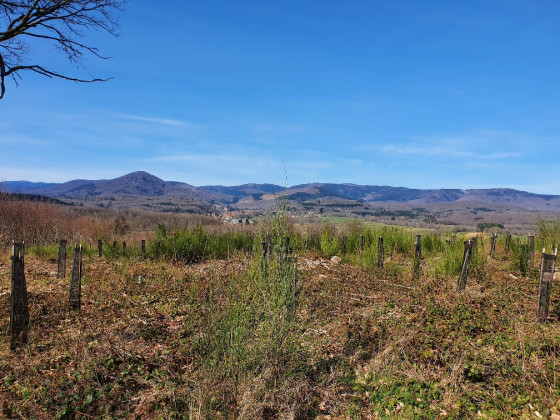 Vue sur le massif des Vosges