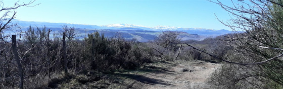 vue sur le massif du Sancy, des hauteurs de Paille
