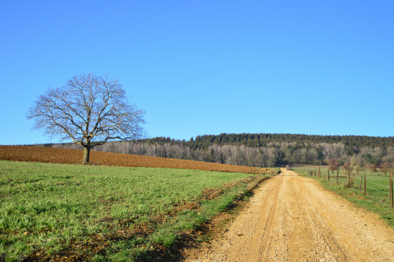 Vue sur le massif