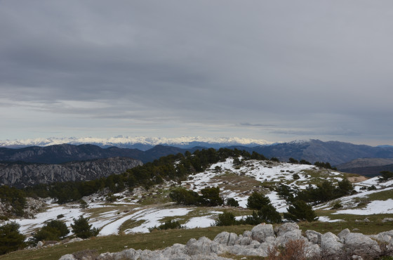 Vue sur le Mercantour