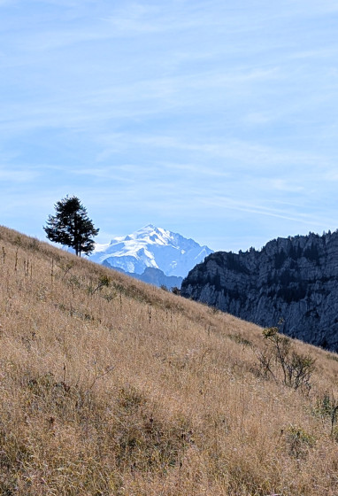 Vue sur le Mont Blanc lors de la descente