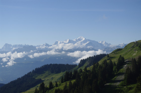 Vue sur le Mont-Blanc