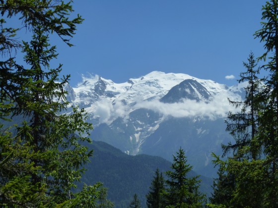 vue sur le Mont-Blanc