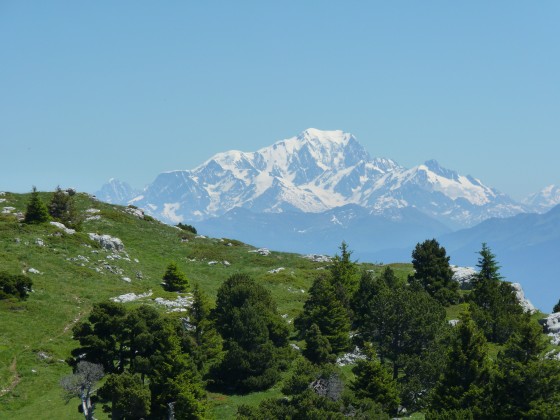 Vue sur le Mont Blanc