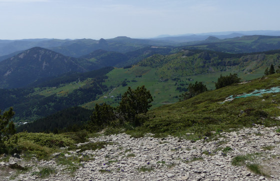 Vue sur le Mont gerbier de Jonc
