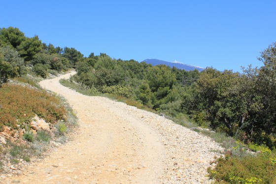 Vue sur le Mont Ventoux depuis la chapelle du Paty