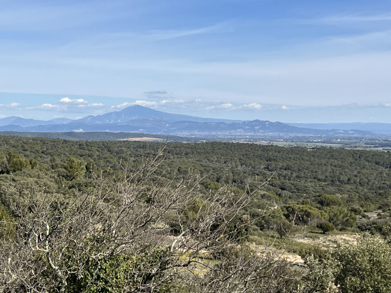 Vue sur le Mont Ventoux