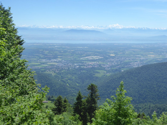 A faire Le Colomby de Gex depuis le Pailly Randonnée
