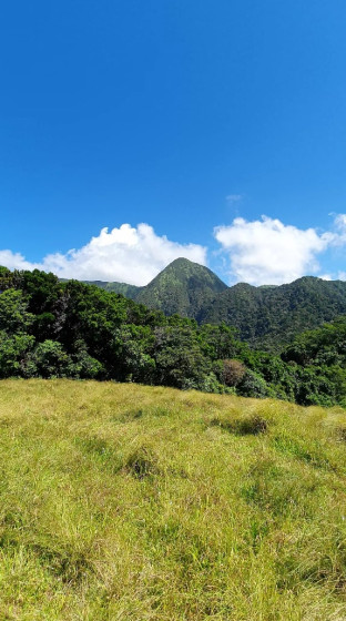 Vue sur le Morne Chapeau Nègre et Piton Lacroix