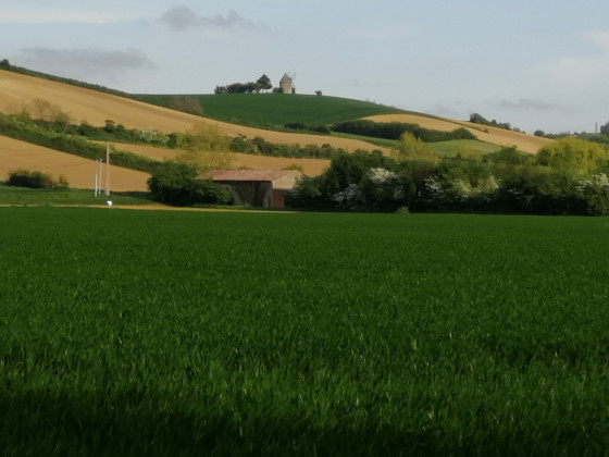 Vue sur le Moulin de Pesquies