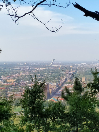 Vue sur le nord-est de Montr&eacute;al (complexe Olympique dans le fond)