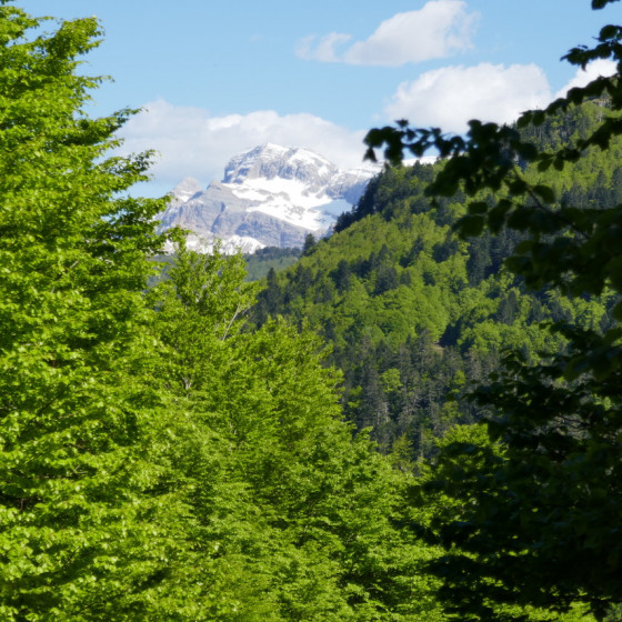 Vue sur le pic d\'Aspe