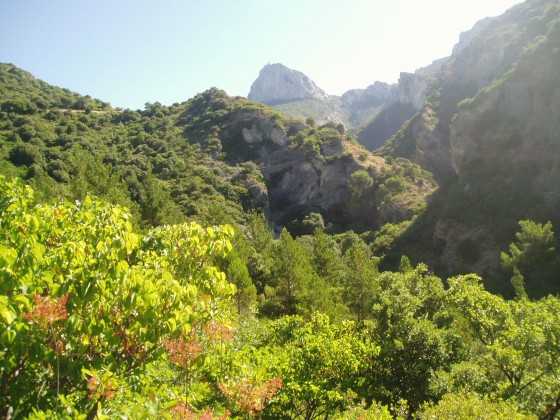 Vue sur le Pic de Bertagne