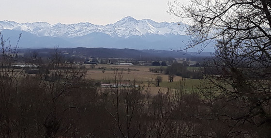 Vue sur le Pic du Midi de Bigorre