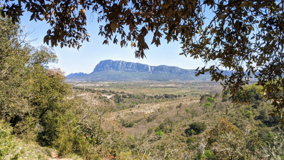 Vue sur le Pic Saint-Loup et le vallon de Londres