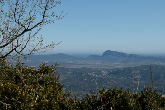 Vue sur le Pic St Loup