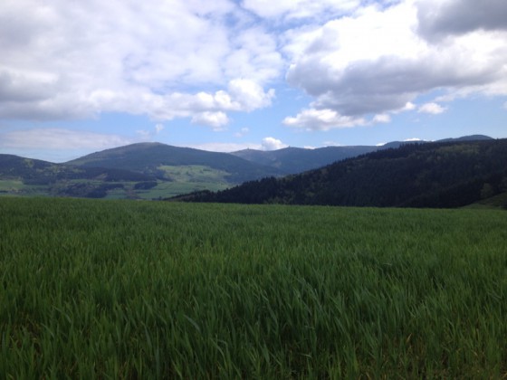 vue sur le pilat