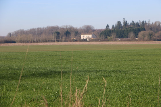 Vue sur le Pinier et le Bois éponyme