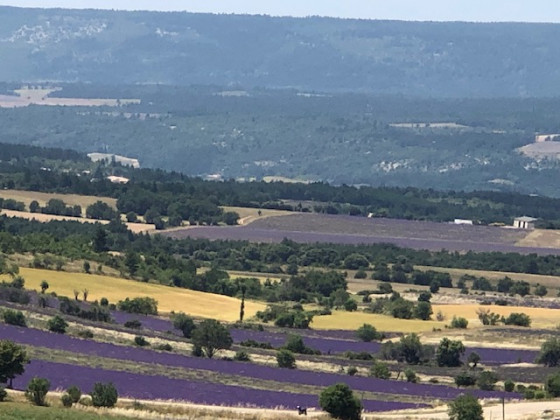 Vue sur le plateau d'Albion