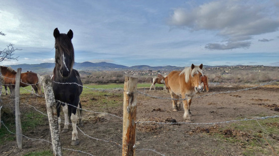 A faire Autour de SaintAndéolleChâteau Randonnée