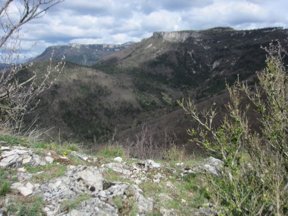 Vue sur Le Pont des Sarrasins
