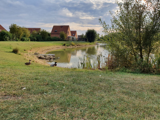 Vue sur le premier étang