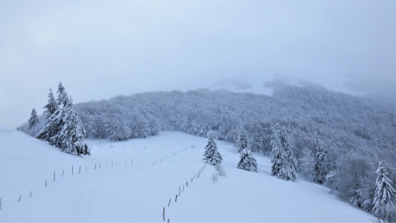 vue sur le Rainkopf caché par la brume depuis Firstmiss