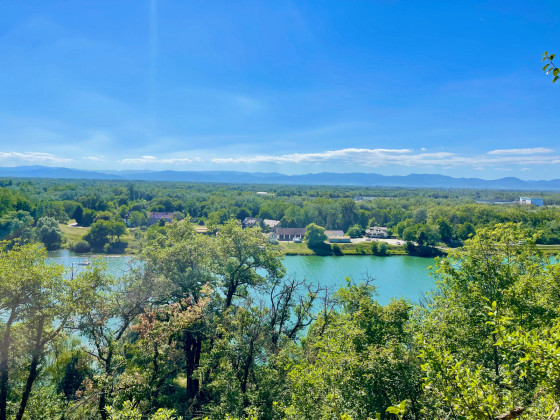 Vue sur le Rhin et la plaine d'Alsace