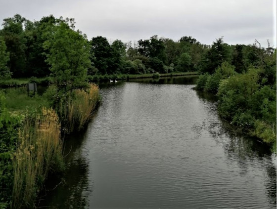 Vue sur le ruisseau et le le nouveau canal