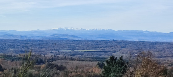 Vue sur le Sancy