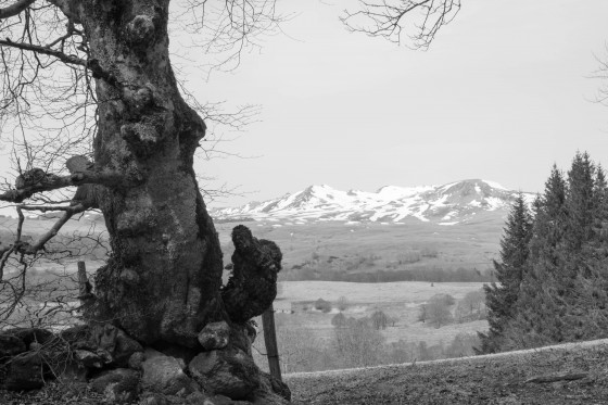 vue sur le Sancy