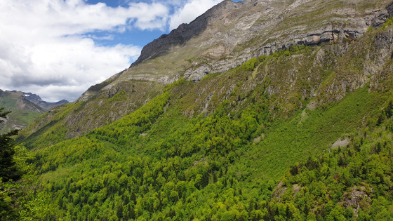 Vue sur le Sentier des fenêtres et les Falaises de la Tume (Massif du Cézy)
