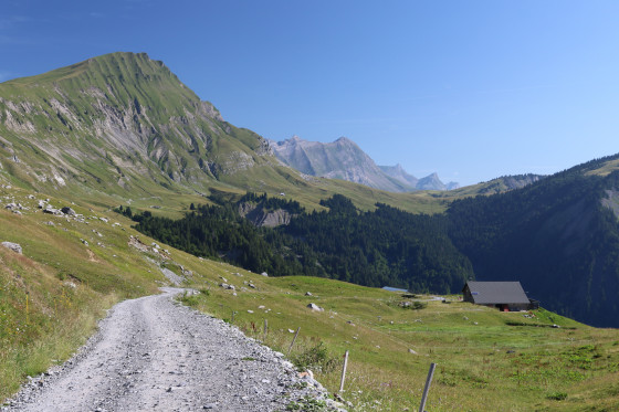 Vue sur le sentier