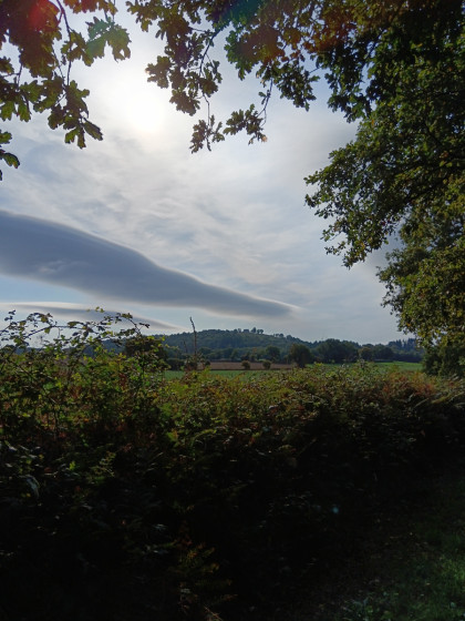 vue sur le site de Montaigu