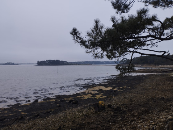 Vue sur le site des 