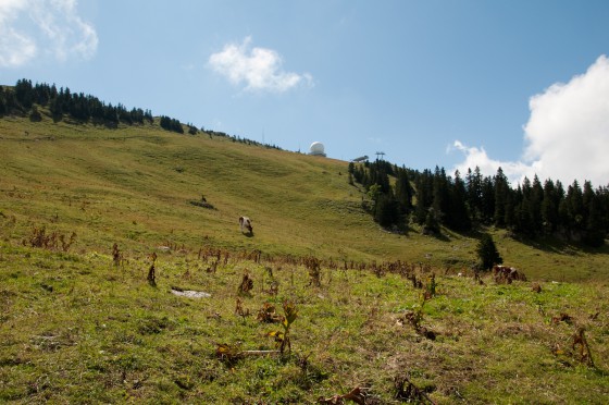 Vue sur le sommet de la Dôle