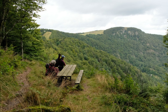 Vue sur le sommet du Ballon d'Alsace