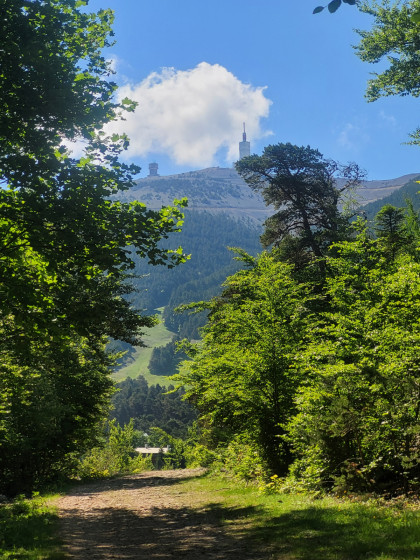 Vue sur le sommet du Mont Ventoux